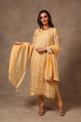 Yellow pure silk organza suit set