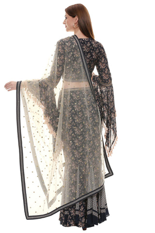 Fishcut Godet Printed Skirt with Crop Top - Kavvach 