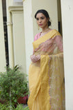 Organza Scallop Saree