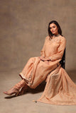 Peach Silk Organza Suit-set - Kavvach 