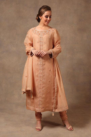 Peach Pure Silk Organza Suit-set - Kavvach 