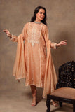 Dark Peach Pure Silk Organza Suit Set - Kavvach 