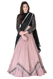 Pink Embroidered Lehenga - Kavvach 