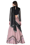 Pink Embroidered Lehenga - Kavvach 